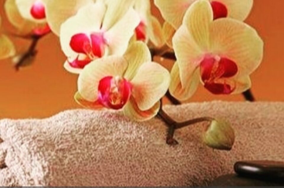 Ayurvedic massage Spa Ubud