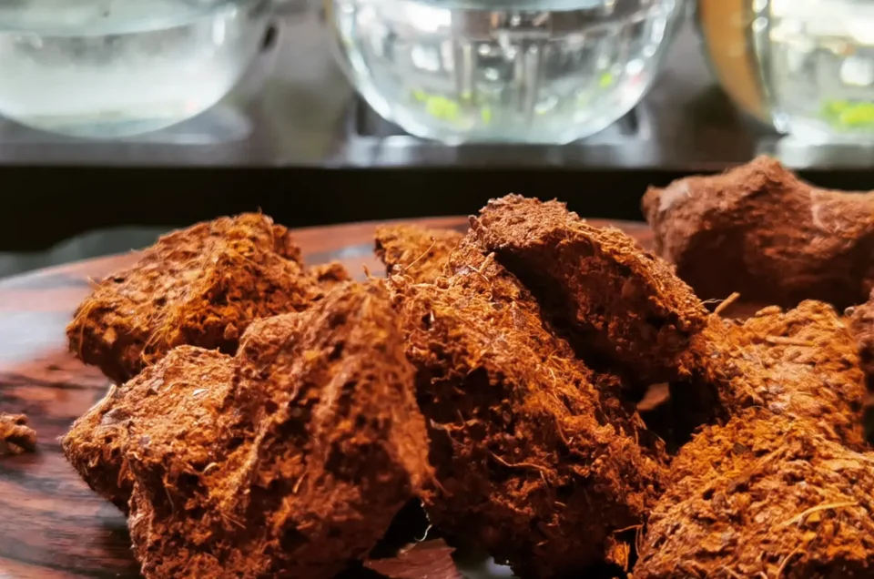 Herbal Ratus Steam at Midas